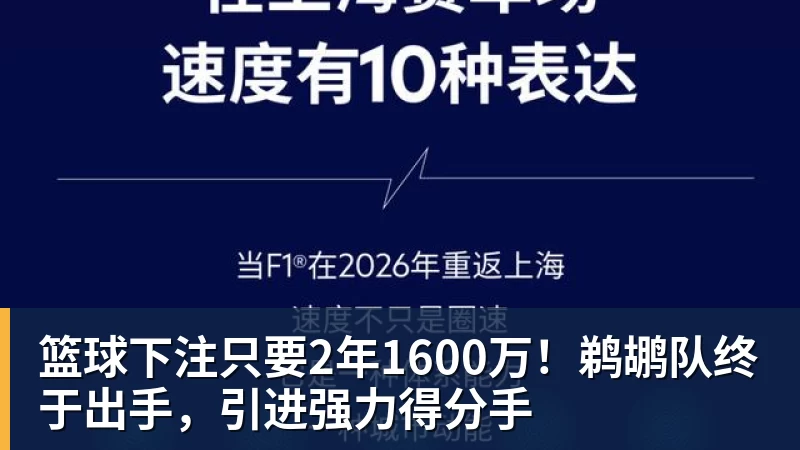 篮球下注只要2年1600万！鹈鹕队终于出手，引进强力得分手